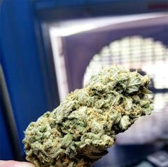 User uploaded image of Pineapple Express