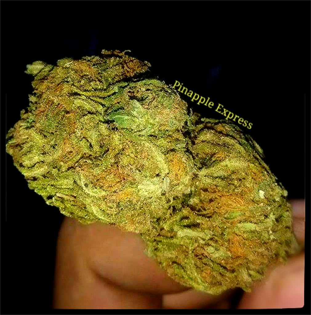 Photos of Pineapple Express Weed Strain Buds Leafly