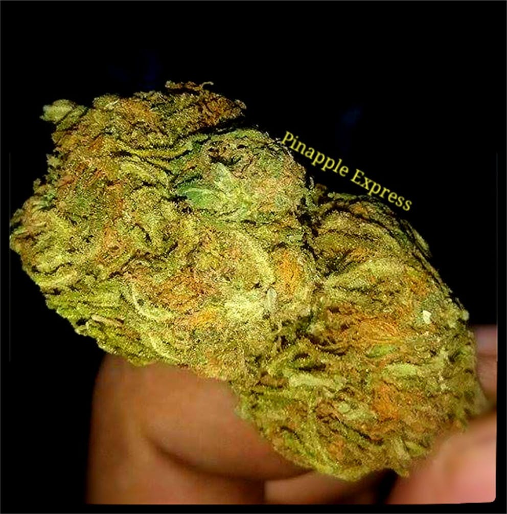 Photos of Pineapple Express Weed Strain Buds Leafly