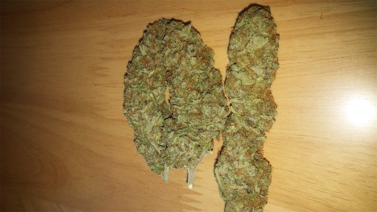 Photos of Pineapple Express Weed Strain Buds Leafly