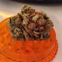 User uploaded image of Pineapple Haze