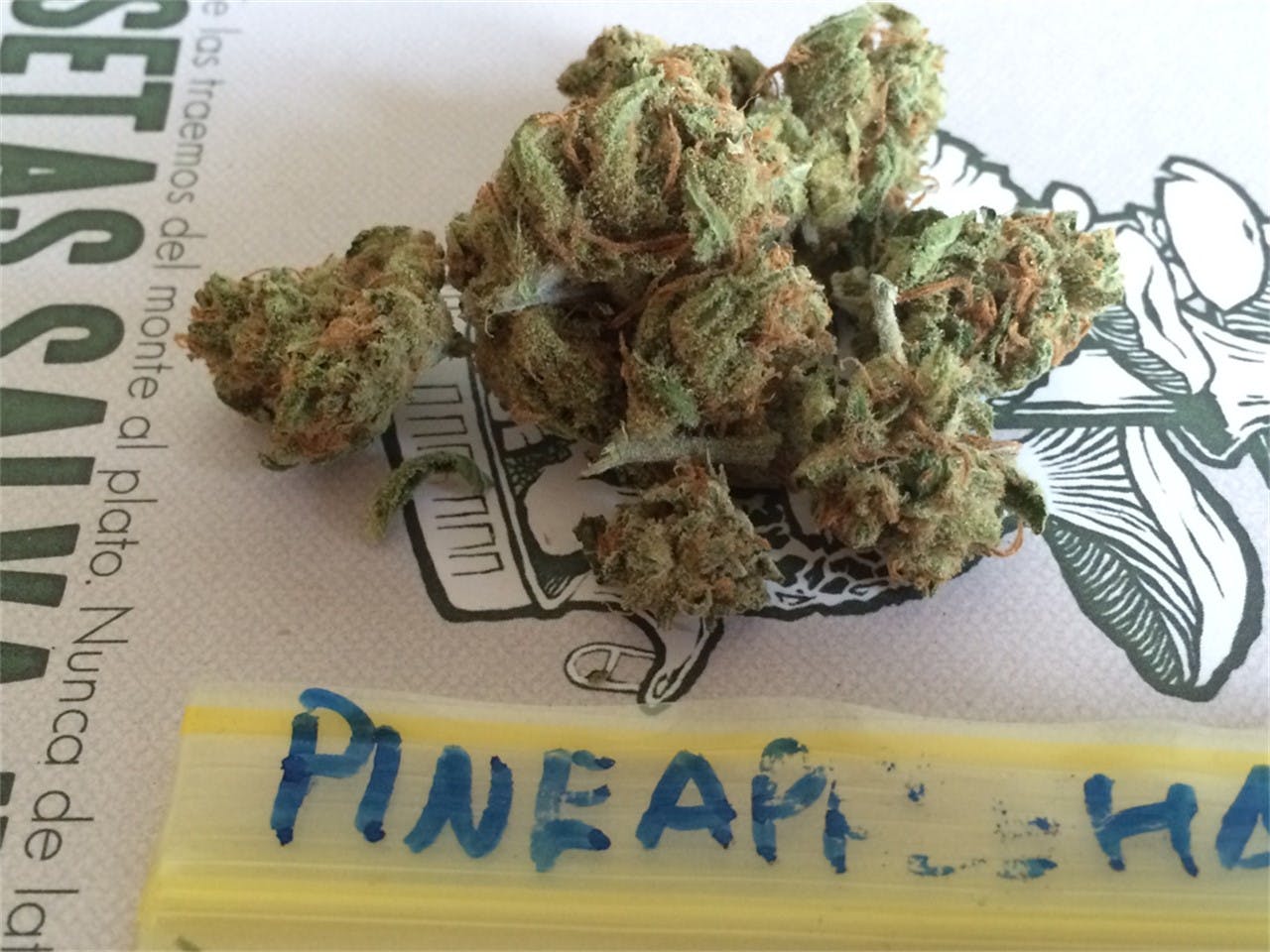 Photos of Pineapple Haze Weed Strain Buds Leafly