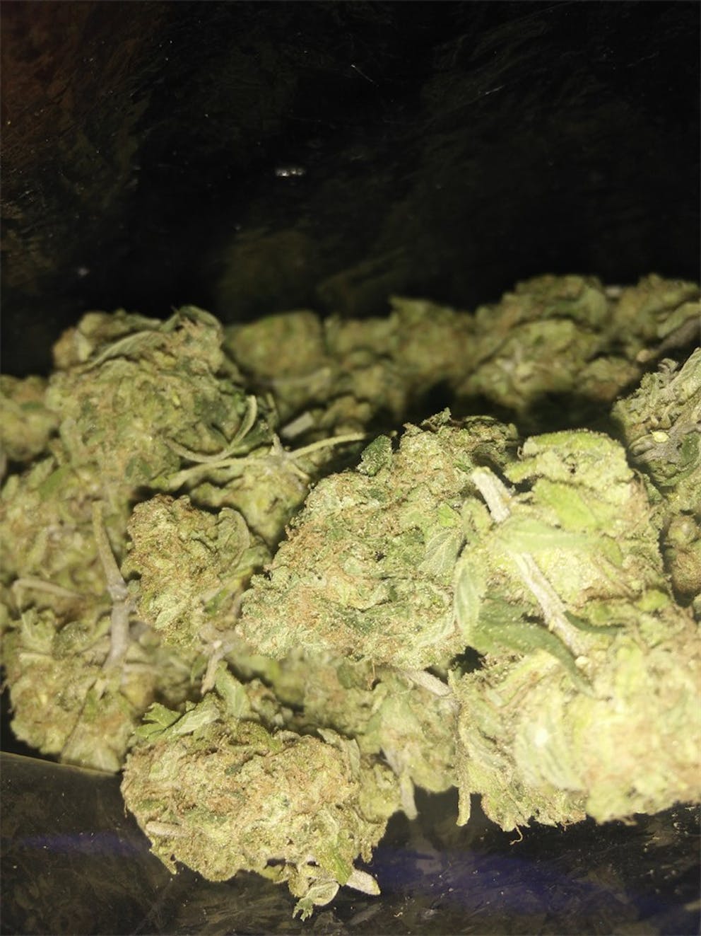 Photos of Pineapple Haze Weed Strain Buds Leafly