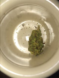 User uploaded image of Pineapple Haze