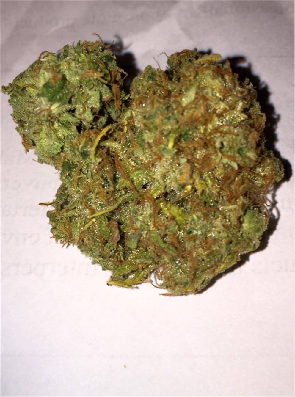 Photos of Pineapple Haze Weed Strain Buds Leafly