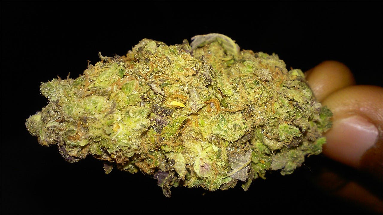 Photos of Pineapple Haze Weed Strain Buds Leafly