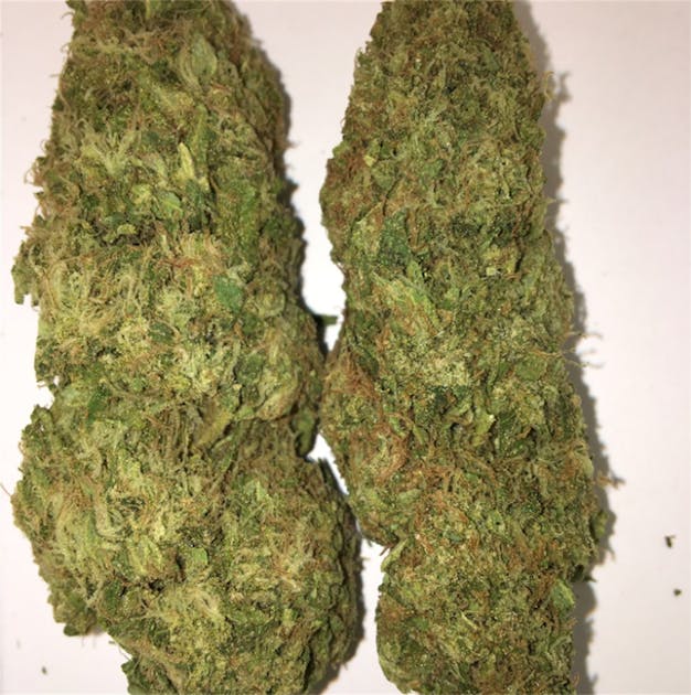 Photos of Pineapple Jack Weed Strain Buds Leafly