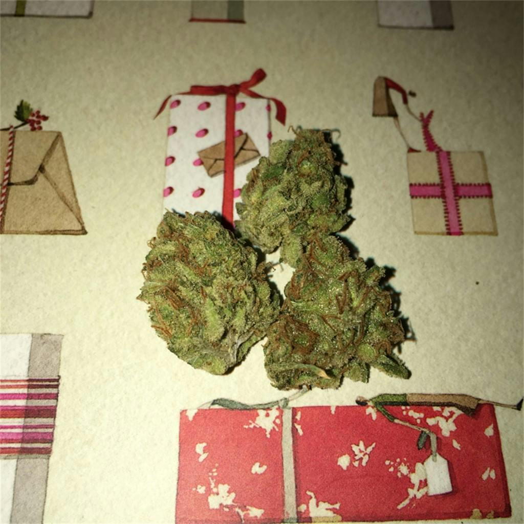 Pineapple Jack aka Pineapple Jack Herer Weed Strain Information Leafly