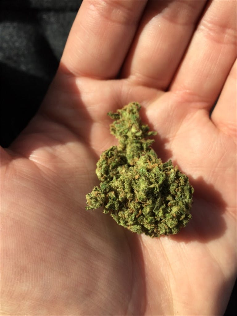 Pineapple Jack aka Pineapple Jack Herer Weed Strain Information Leafly