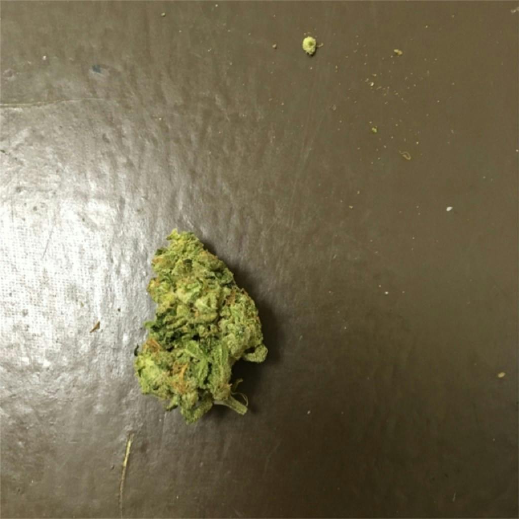 Pineapple Jack aka Pineapple Jack Herer Weed Strain Information Leafly