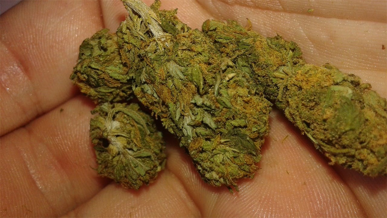 Photos of Pineapple Jack Weed Strain Buds Leafly