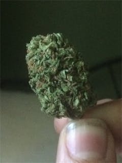 User uploaded image of Pineapple Jack