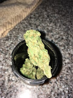 User uploaded image of Pineapple Jack