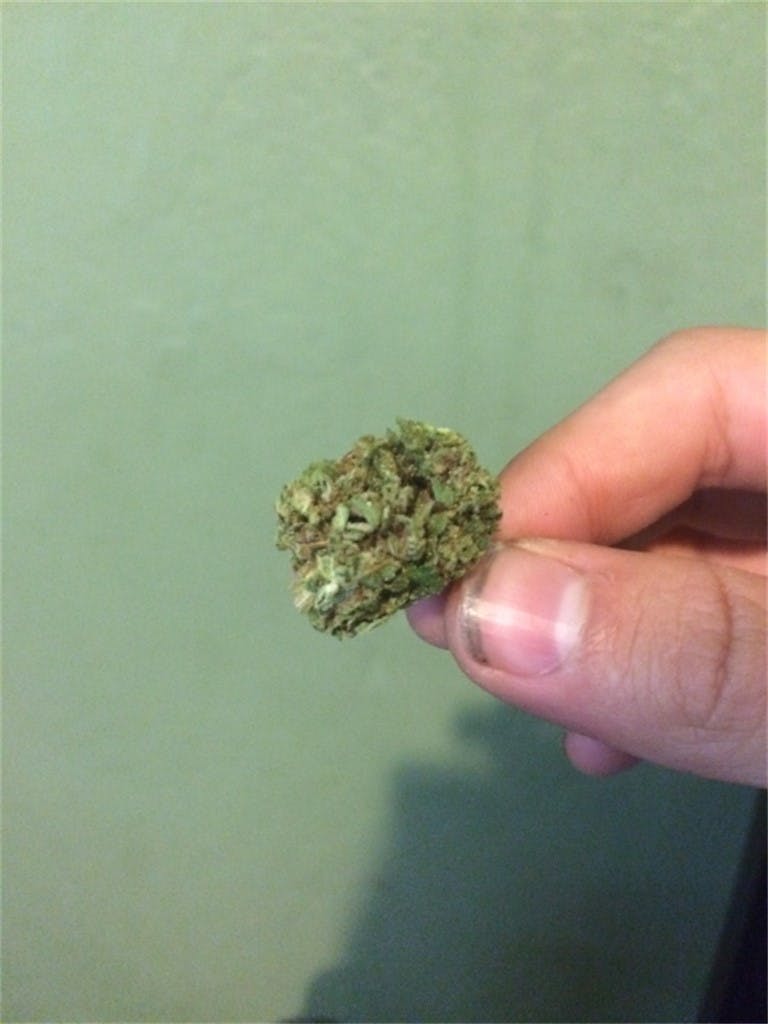 Pineapple Jack aka Pineapple Jack Herer Weed Strain Information Leafly