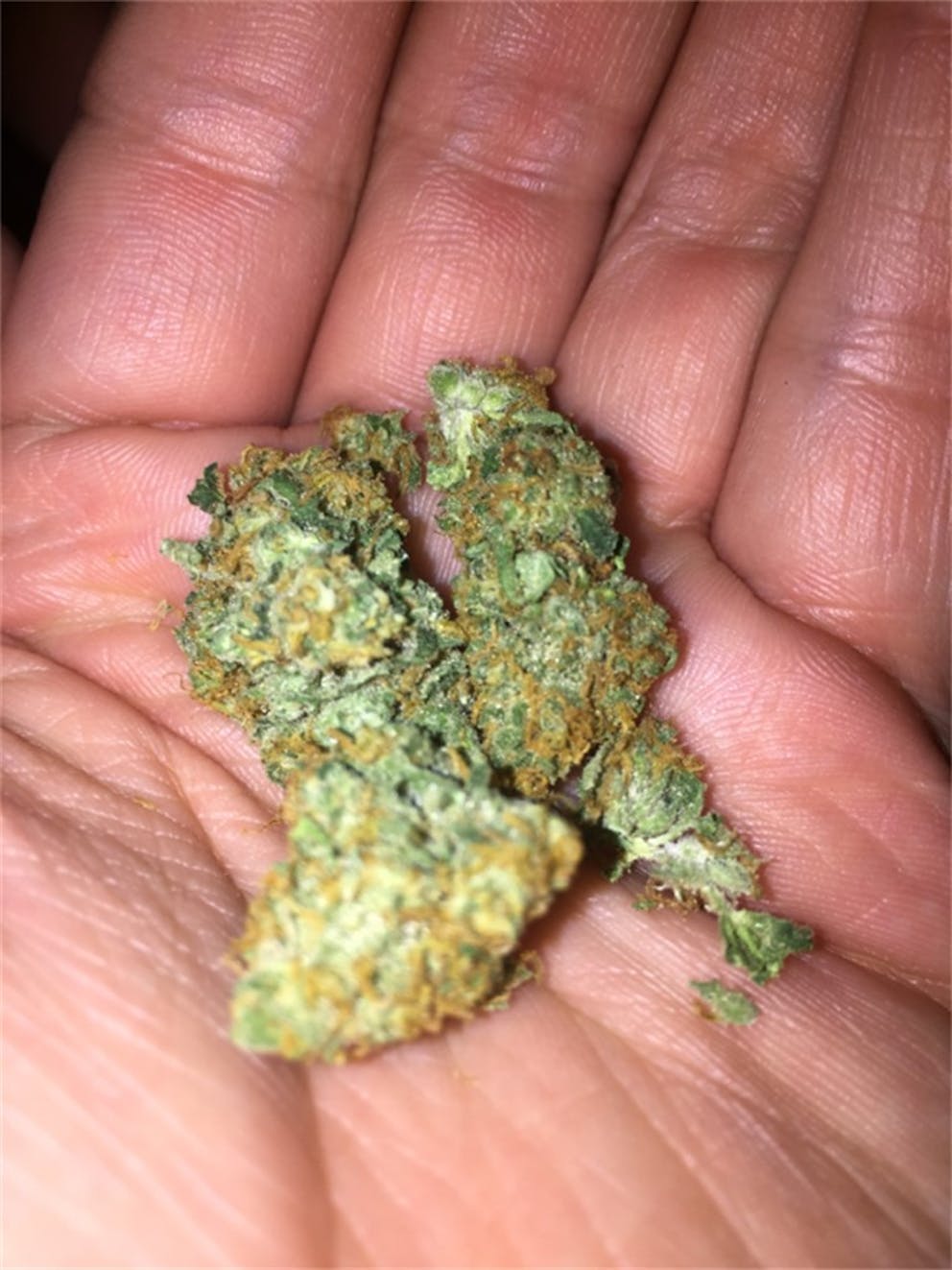 Photos of Pineapple Kush Weed Strain Buds Leafly