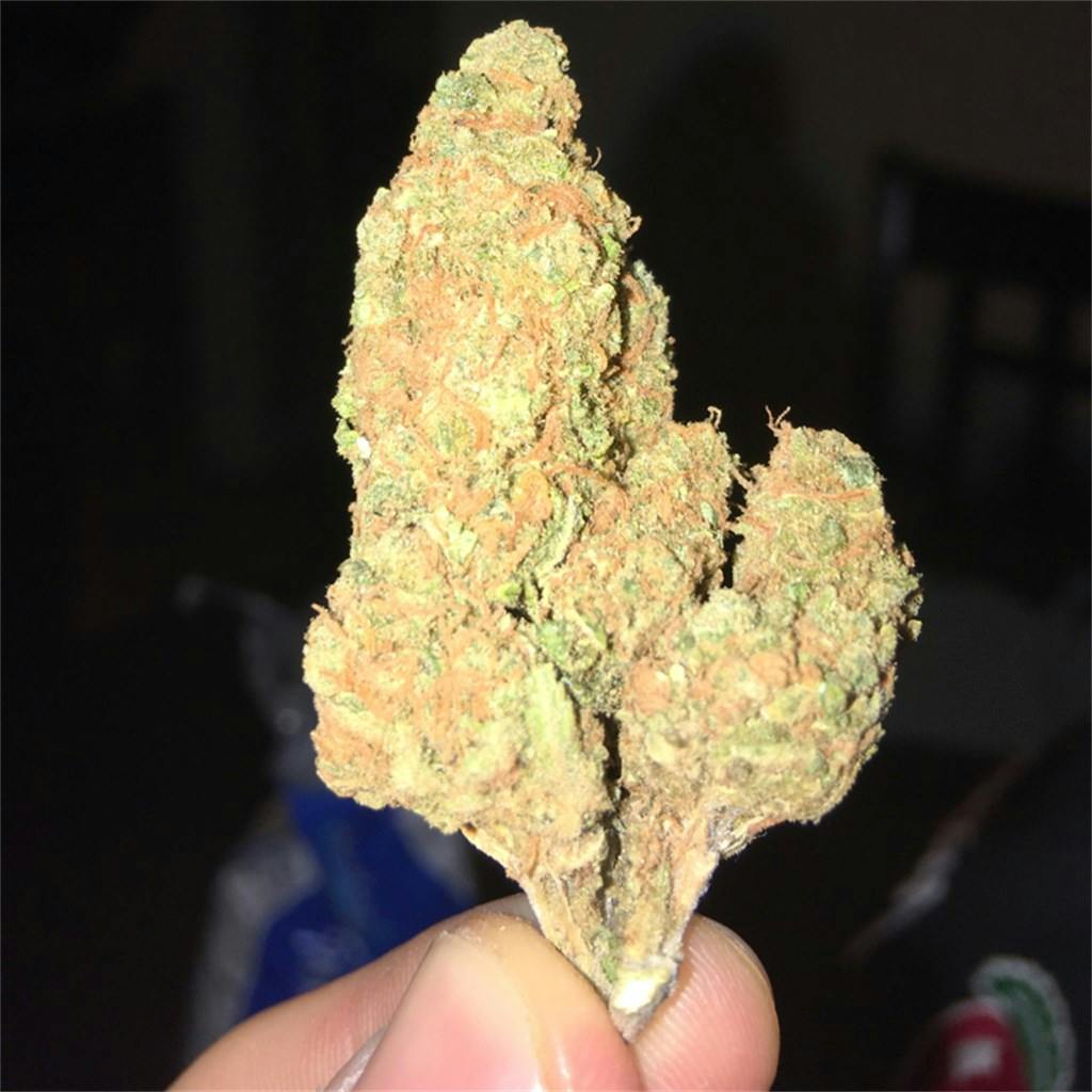 Photos of Pineapple Kush Weed Strain Buds Leafly