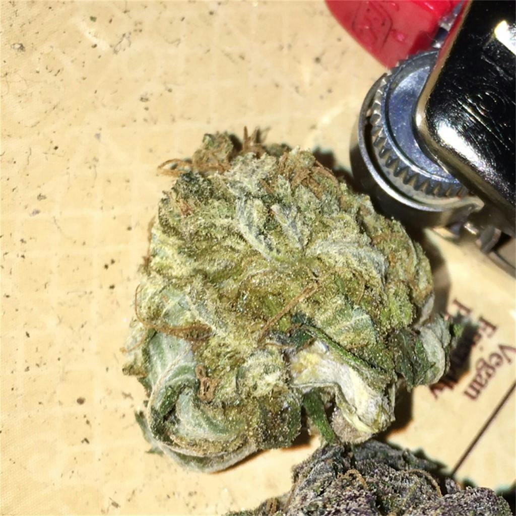 Photos of Pineapple Kush Weed Strain Buds Leafly