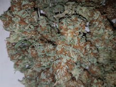 User uploaded image of Pineapple Kush