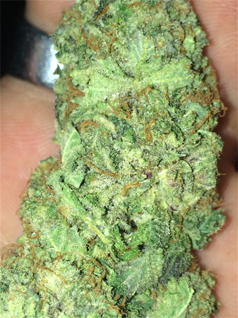 Photos of Pineapple Kush Weed Strain Buds Leafly