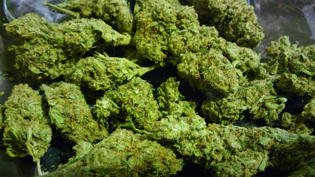 Pineapple Kush Weed Strain Information Leafly