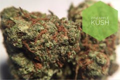 User uploaded image of Pineapple Kush