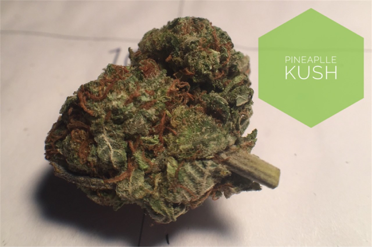 pineapple kush strain info