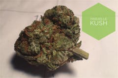 User uploaded image of Pineapple Kush