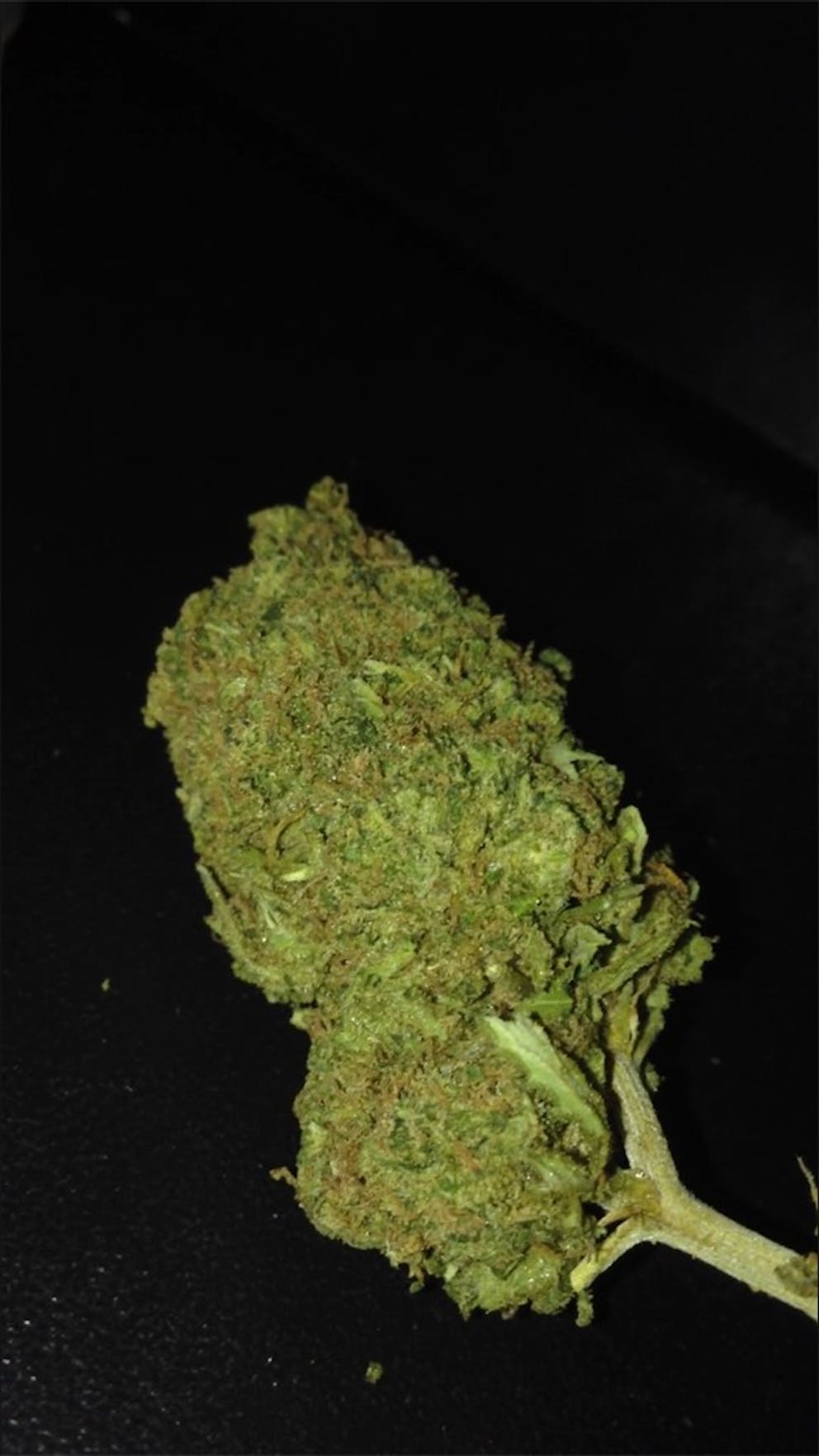 Photos of Pineapple Kush Weed Strain Buds Leafly