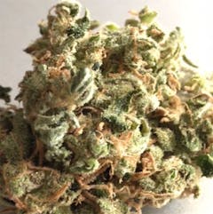 User uploaded image of Pineapple Kush