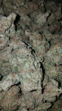 User uploaded image of Pineapple Kush