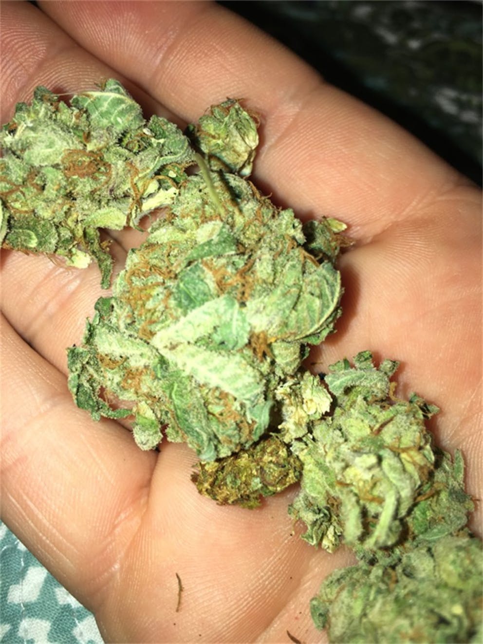 Photos of Pineapple Kush Weed Strain Buds Leafly