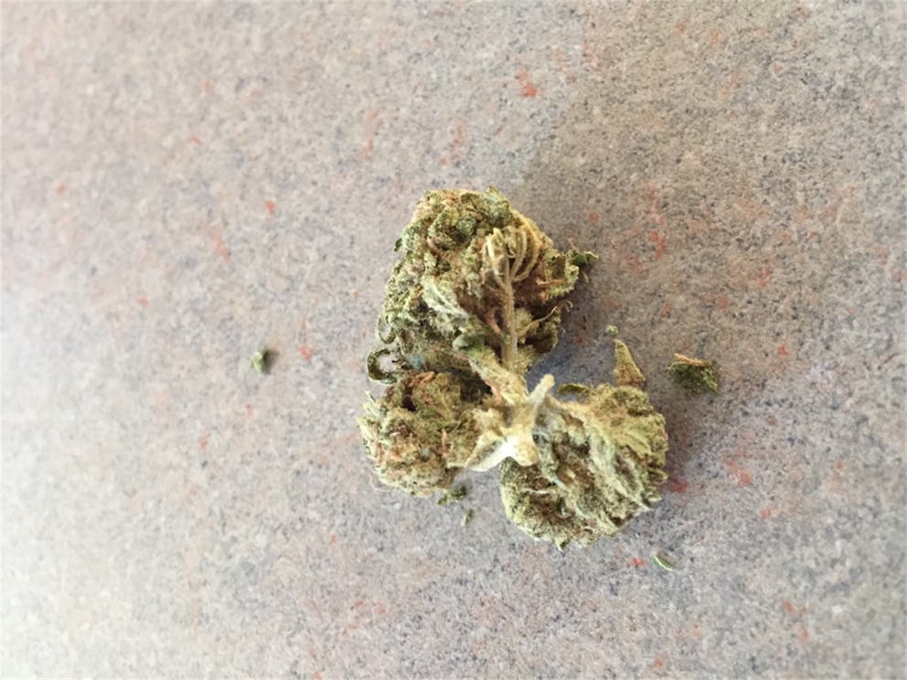 Photos of Pineapple OG Weed Strain Buds Leafly