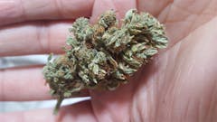 User uploaded image of Pineapple OG