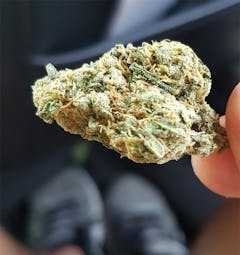 User uploaded image of Pineapple OG