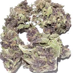 User uploaded image of Pineapple Purps