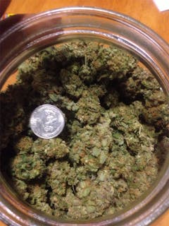 User uploaded image of Pineapple Purps