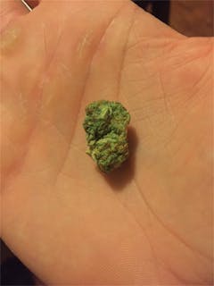 User uploaded image of Pineapple Skunk