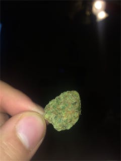 User uploaded image of Pineapple Skunk