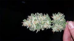 User uploaded image of Pineapple Skunk
