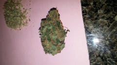 User uploaded image of Pineapple Super Silver Haze
