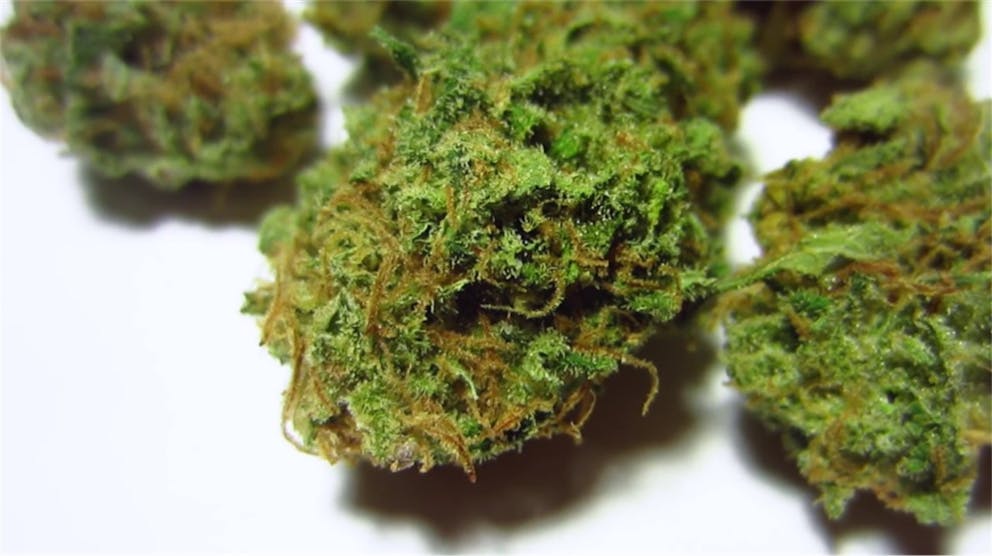 Photos of Pineapple Super Silver Haze Weed Strain Buds Leafly