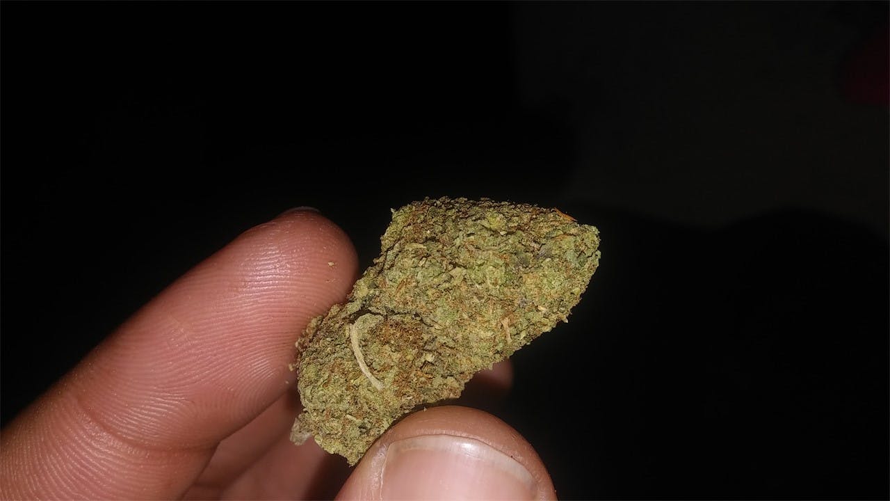 Pineapple Super Silver Haze aka Pineapple SSH Weed Strain Information