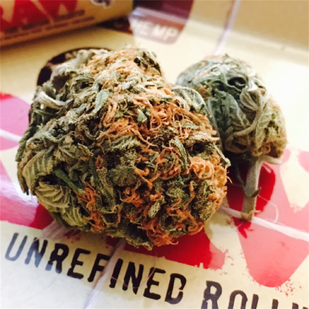 Photos of Pineapple Super Silver Haze Weed Strain Buds Leafly