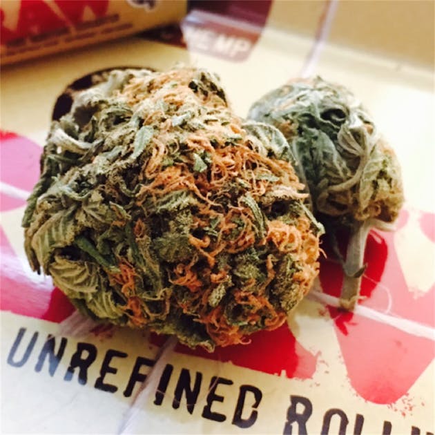 Photos of Pineapple Super Silver Haze Weed Strain Buds Leafly