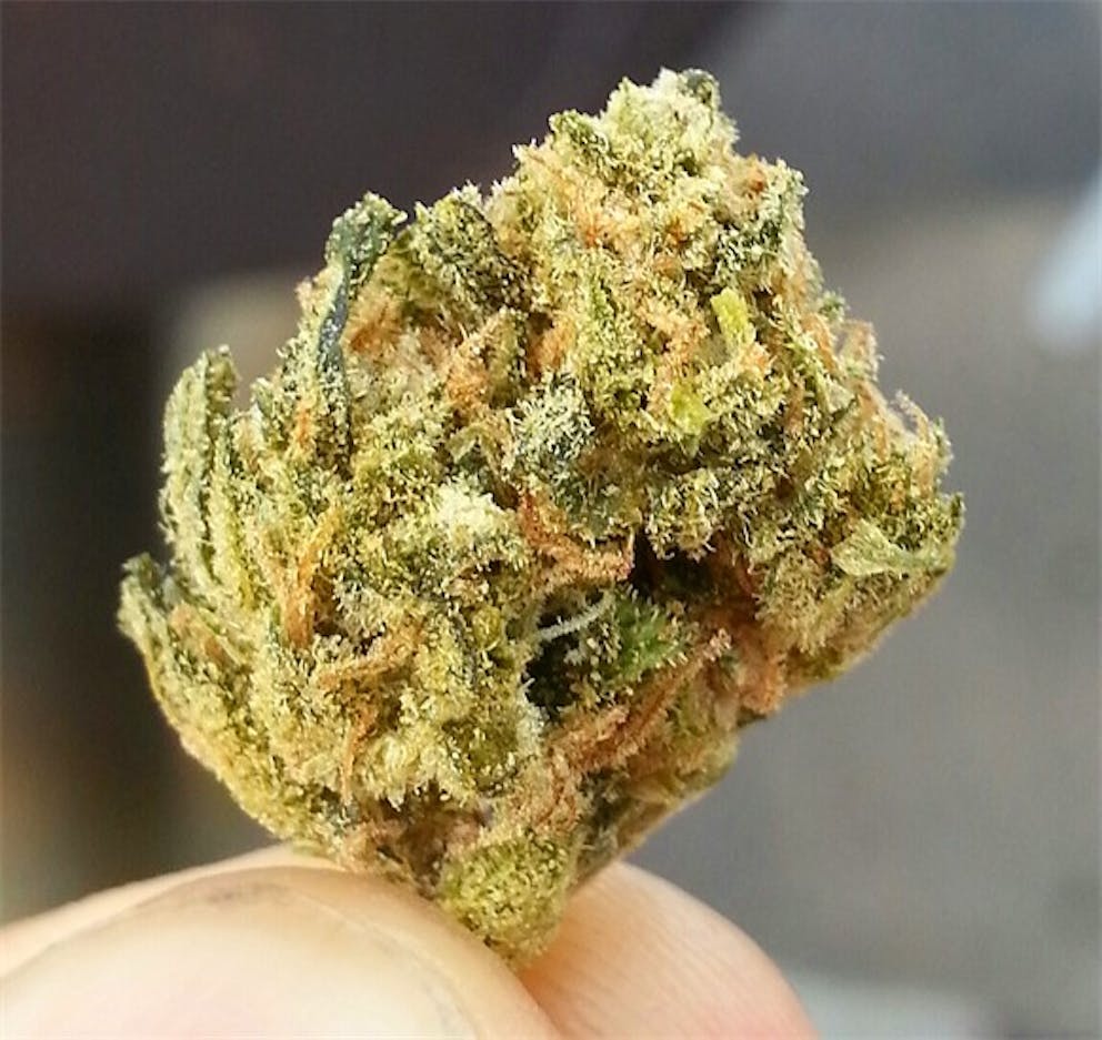 Photos of Pineapple Thai Weed Strain Buds Leafly