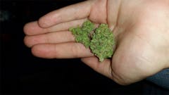 User uploaded image of Pineapple Thai