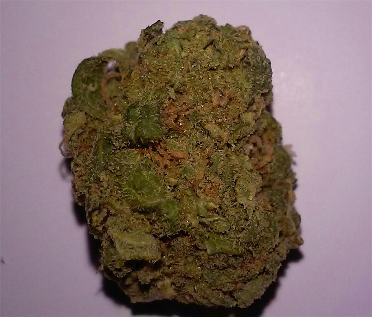 Pineapple Thai Weed Strain Information Leafly