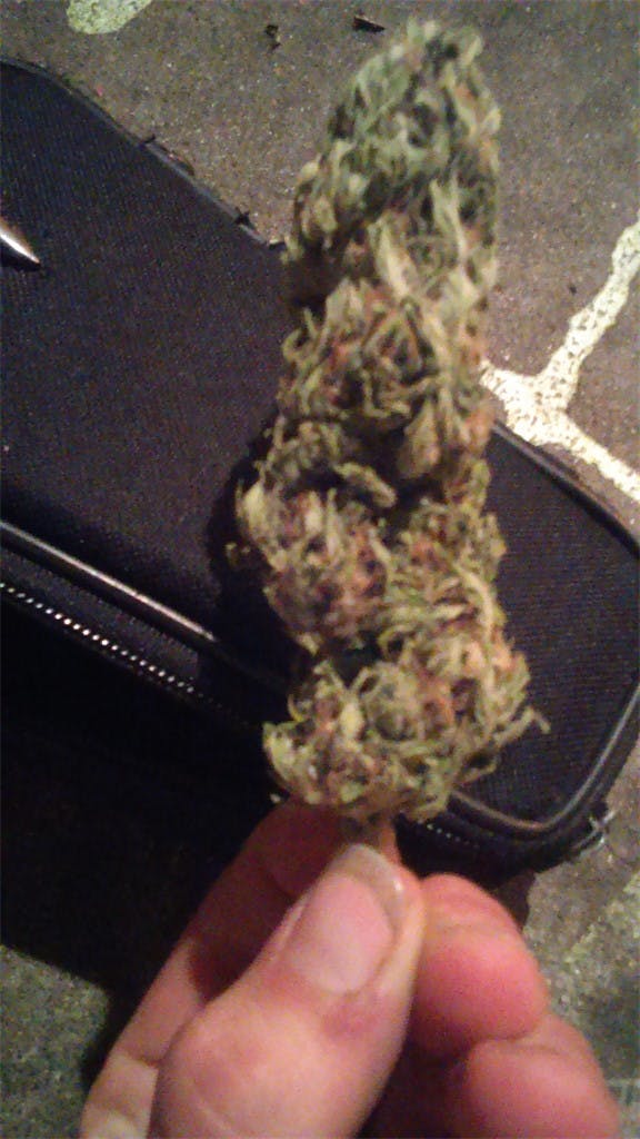 Pineapple Thai Weed Strain Information Leafly