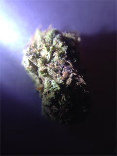 User uploaded image of Pineapple Trainwreck
