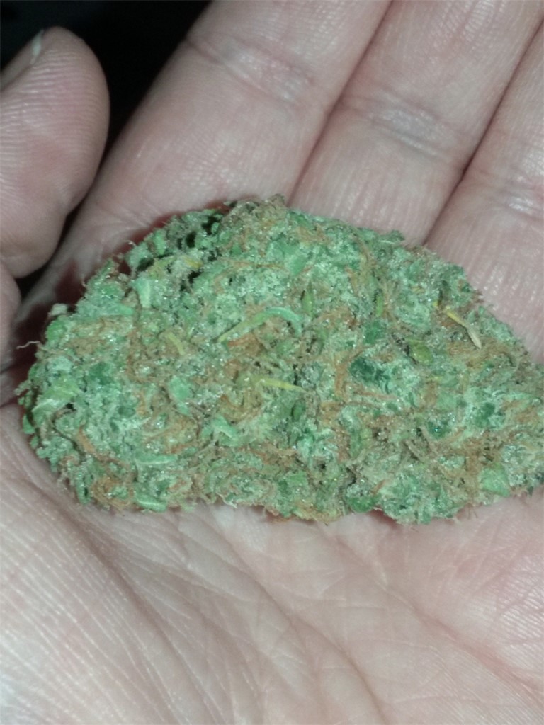 Photos Of Pineapple Trainwreck Weed Strain Buds | Leafly